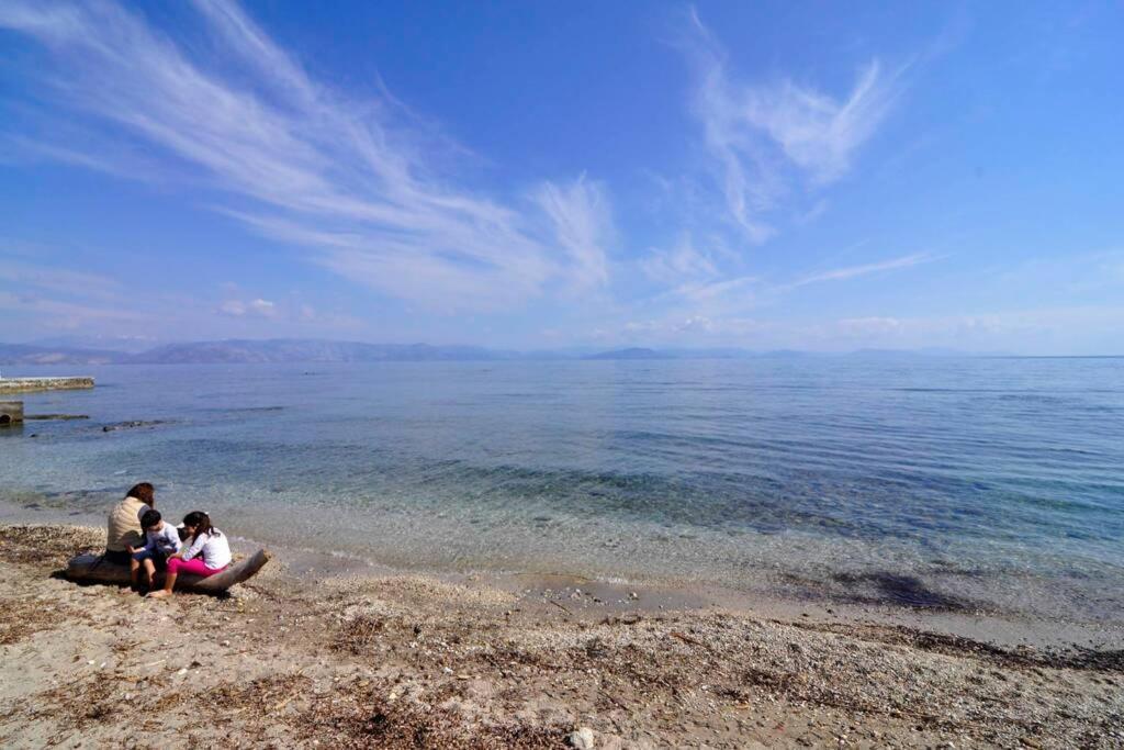 Mon Repo Palace Apartment Corfu  ภายนอก รูปภาพ